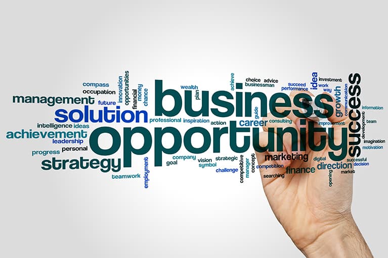 Business Opportunity Wordle