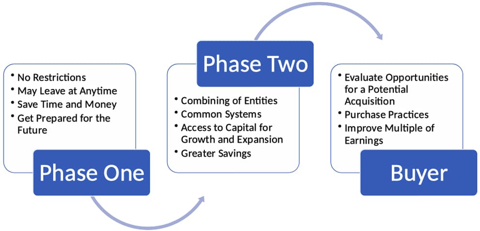 Phases of becoming and associate member